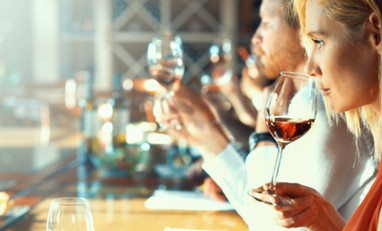 How to Taste Wine, Wine Guide